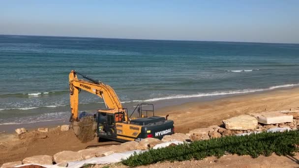 Tel Aviv Israel December 2022 Excavator Hyundai Beach Loads Large — Stock Video