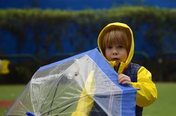 Cute boy preschooler in a yellow raincoat with an umbrella. A child plays outside in the rain. Concept Autumn or  spring fun walks, bad weather, weather forecast, good mood on a cloudy day