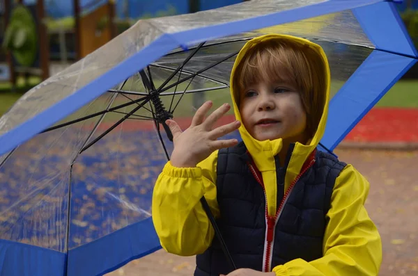 Cute boy preschooler in a yellow raincoat with an umbrella. A child plays outside in the rain. Concept Autumn or  spring fun walks, bad weather, weather forecast, good mood on a cloudy day