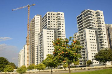 Konforlu bir yerleşim yeri. Yüksek katlı, modern apartmanlar. İnşaat vinci. Evin yanındaki turuncu bahçe. Konsept: emlak yatırımı, ev satın alma, kredi, ipotek.