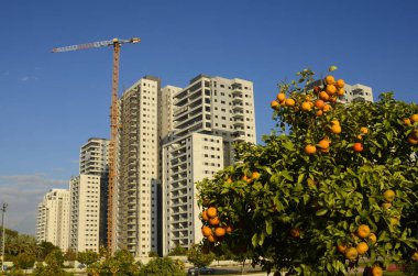 Konforlu bir yerleşim yeri. Yüksek katlı, modern apartmanlar. İnşaat vinci. Evin yanındaki turuncu bahçe. Konsept: emlak yatırımı, ev satın alma, kredi, ipotek.