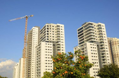 Konforlu bir yerleşim yeri. Yüksek katlı, modern apartmanlar. İnşaat vinci. Evin yanındaki turuncu bahçe. Konsept: emlak yatırımı, ev satın alma, kredi, ipotek.