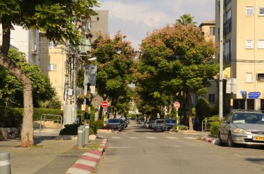 İsrail. Rishon Lezion. Ocak 2023. İkametgah caddesi, yolun kenarına park edilmiş arabalar. Gush Dan, İsrail 'in en iyi şehrinde hayat. Ağaç çiçeği Koelreuteria
