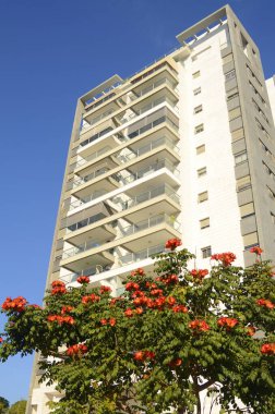 Yüksek katlı bir apartmanda rahat, beyaz bir balkon. Evin yakınında çiçek açan Afrika lale ağacı. Şehir bahçesi, halk bahçesi. Daire kirası, daire alımı, emlakçı, yatırım, ipotek.