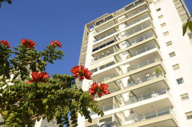 Yüksek katlı bir apartmanda rahat, beyaz bir balkon. Evin yakınında çiçek açan Afrika lale ağacı. Şehir bahçesi, halk bahçesi. Daire kirası, daire alımı, emlakçı, yatırım, ipotek.
