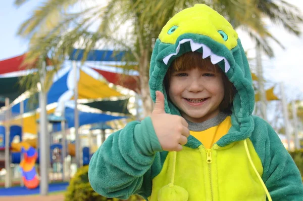 A sweet little boy in a dinosaur costume on a playground. The child in the dragon's costume laughs, the space for the text, the poster of the event. Israeli Halloween - Purim. Pajama costume for holidays