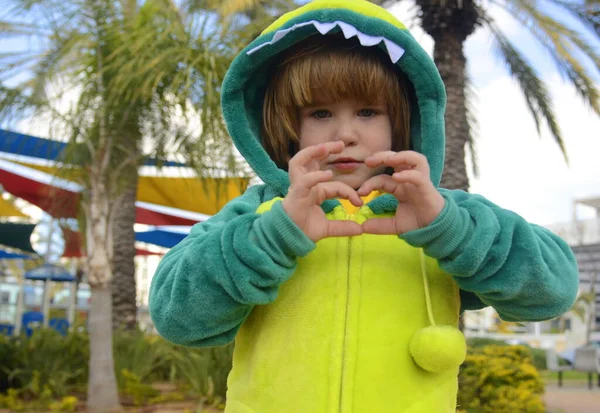 A sweet little boy in a dinosaur costume on a playground. The child in the dragon\'s costume laughs, the space for the text, the poster of the event. Israeli Halloween - Purim. Pajama costume for holidays