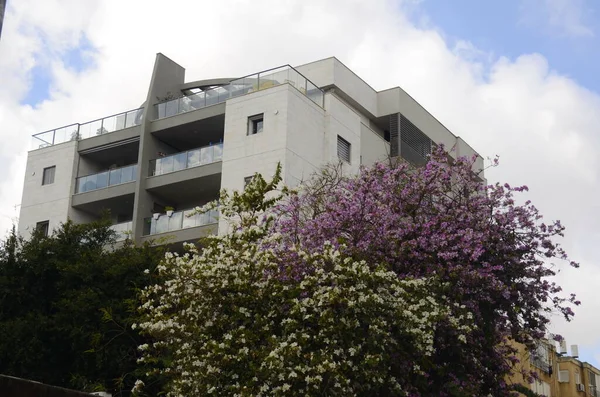 Erkély Üvegezett Terasz Egy Modern Lakóépületben Egy Gyönyörű Virágzó Közelben — Stock Fotó