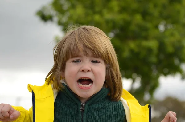生气的小男孩 孩子在尖叫 一个男孩的肖像 孩子们的烦躁 怪念头 — 图库照片