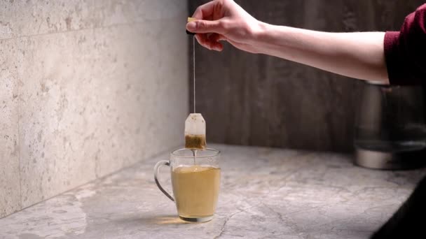 Chá Verde Bolsas Chá Transparente Dissolve Água Quente Caneca Transparente — Vídeo de Stock