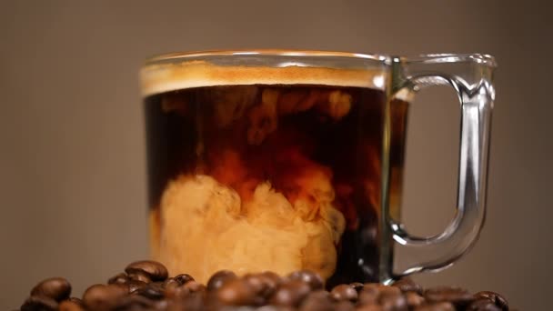 Kaffe Med Mjölk Transparent Kopp Med Kaffe Amerikansk Förberedelse Närbild — Stockvideo
