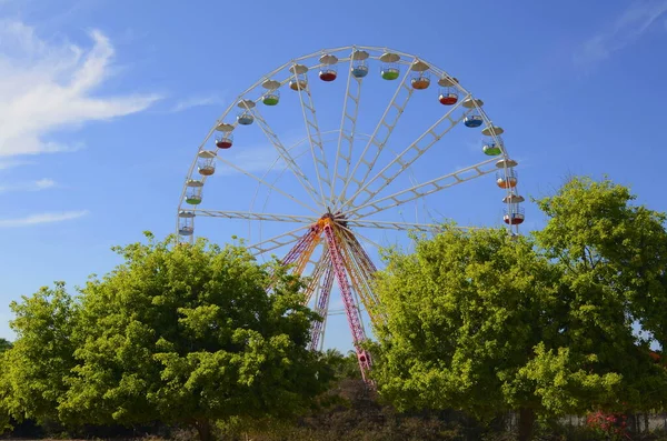 Riesenrad Gegen Den Blauen Himmel Einem Sommerpark — Stockfoto