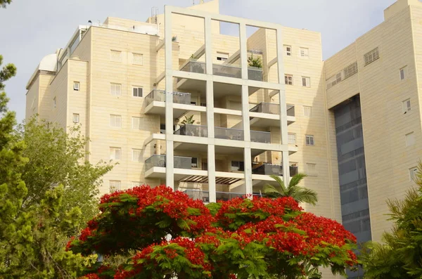Lakóingatlan Izraelben Erkély Egy Modern Házban Virágzó Szép Kilátás Ablakból — Stock Fotó