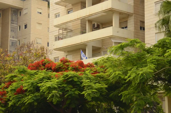Lakóingatlan Izraelben Erkély Egy Modern Házban Virágzó Szép Kilátás Ablakból — Stock Fotó