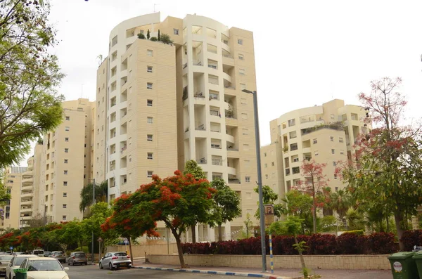 Izrael Tel Aviv 2023 Június Lakóövezet Utcái Modern Lakóházak Virágzó — Stock Fotó