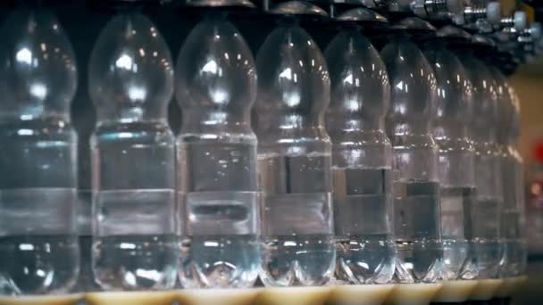 Transportador Com Garrafas Plástico Planta Água Mineral Produção Água Potável — Vídeo de Stock