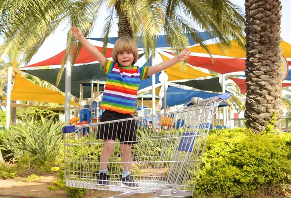 Pré Escolar Num Carrinho Supermercado Rapaz Vai Compras Recolhemos Criança — Fotografia de Stock