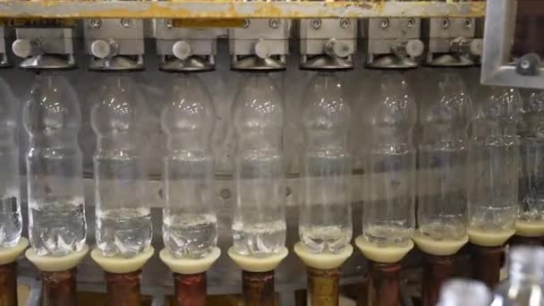 Producción Agua Mineral Potable Botellas Plástico Primer Plano Verter Agua — Vídeo de stock