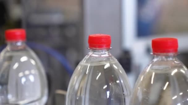 Produção Água Mineral Potável Garrafas Plástico Close Despejar Água Uma — Vídeo de Stock