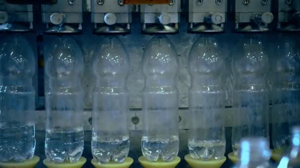Producción Agua Mineral Potable Botellas Plástico Primer Plano Verter Agua — Vídeo de stock