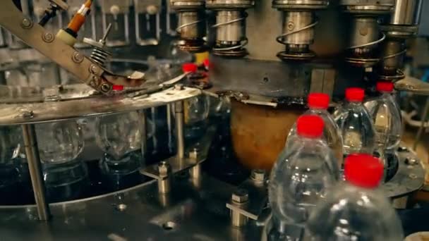 Vätskefyllning Och Flaskkapsylering Maskin För Industrin Dryckesfabrik Använder Automatisering Och — Stockvideo