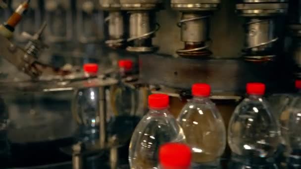 액체채우기 기계를 산업용으로 합니다 베버리지 공장은 생산중인 병캐는 기계의 자동화 — 비디오