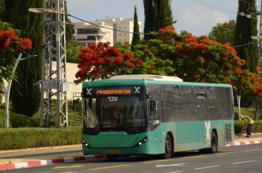 İsrail. Rishon Lezion. 19 Haziran 2023. Yumurtalı yeşil otobüs, yakın plan logo. İsrail toplu taşımacılığı. Yolcu otobüsü. Çevirisi: 