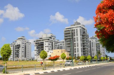 İsrail. Rishon Le Zion 18 Haziran 2023. Çiçekli sokaklar, modern yerleşim alanları. Sokakta ateş ağacı. Gayrimenkul yatırımları