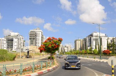 İsrail. Rishon Le Zion 18 Haziran 2023. Çiçekli sokaklar, modern yerleşim alanları. Sokakta ateş ağacı. Gayrimenkul yatırımları