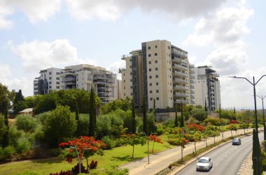 İsrail. Rishon Le Zion 18 Haziran 2023. Çiçekli sokaklar, modern yerleşim alanları. Sokakta ateş ağacı. Gayrimenkul yatırımları