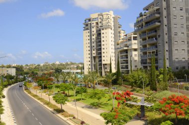 İsrail. Rishon Le Zion 18 Haziran 2023. Çiçekli sokaklar, modern yerleşim alanları. Sokakta ateş ağacı. Gayrimenkul yatırımları