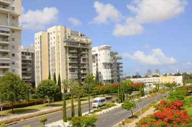 İsrail. Rishon Le Zion 18 Haziran 2023. Çiçekli sokaklar, modern yerleşim alanları. Sokakta ateş ağacı. Gayrimenkul yatırımları