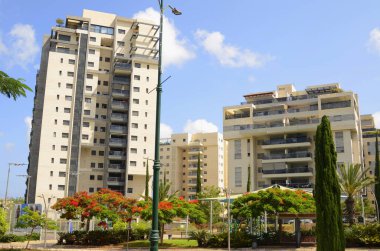 İsrail. Rishon Le Zion 18 Haziran 2023. Çiçekli sokaklar, modern yerleşim alanları. Sokakta ateş ağacı. Gayrimenkul yatırımları