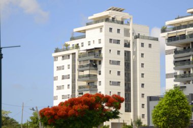 Modern yerleşim alanı. Yeni binanın yakınında çiçek açan ağaçlar. Lüks gayrimenkul. Bir daireye yatırım. Rahat balkonlar ve çiçek açan Royal Poinciana.