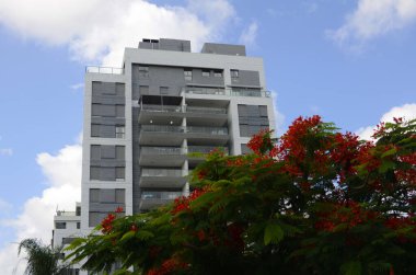 Modern yerleşim alanı. Yeni binanın yakınında çiçek açan ağaçlar. Lüks gayrimenkul. Bir daireye yatırım. Rahat balkonlar ve çiçek açan Royal Poinciana.