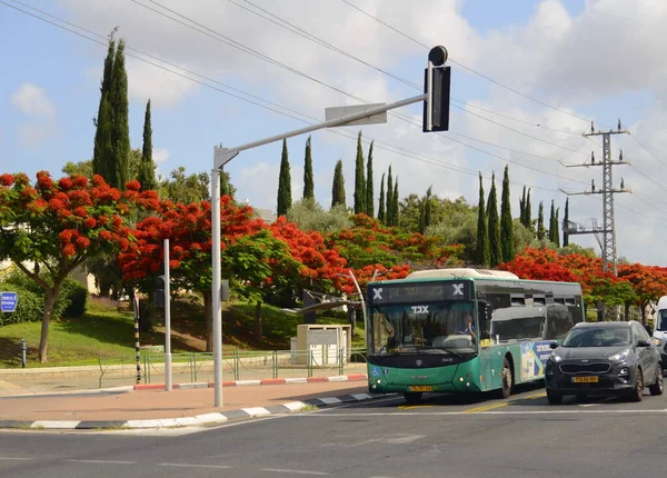 以色列 Rishon Lezion2023年6月19日 卵形绿色巴士 特写标志 以色列公共交通 — 图库照片