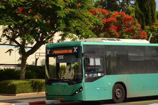 stock image Israel. Rishon Lezion. 19 June 2023. Egged green bus, close-up logo. Israeli public transport. Passenger bus. Translation: 