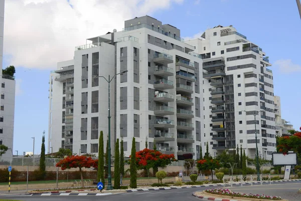 Izrael Rishon Zion 2023 Június Virágzó Utcák Modern Lakóövezet Lángfa — Stock Fotó