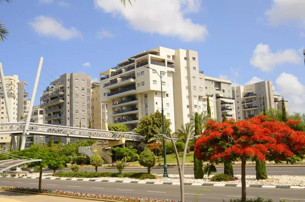 以色列 锡安2023年6月18日 现代住宅区 街上的火树 房地产投资 — 图库照片