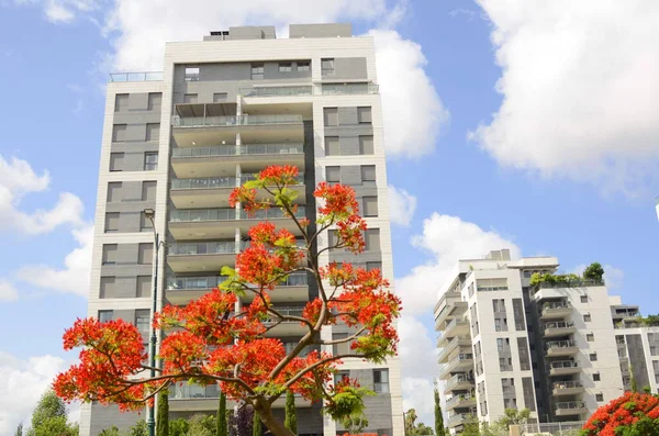 Moderne Wohngegend Blühende Bäume Der Nähe Des Neubaus Luxus Immobilien — Stockfoto