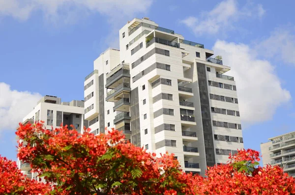 stock image Modern residential area. Flowering trees near the new building. Luxury real estate. Investment in an apartment. Comfortable balconies and blooming Royal poinciana