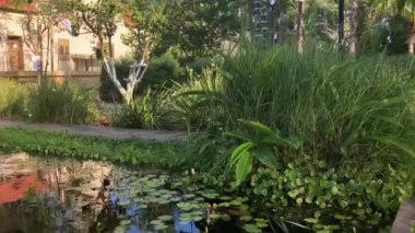 Sıcak bir ev ve gölet. Idyll. Alman kolonisi Sarona pazarı, Tel Aviv 'in merkezinde konforlu evler.