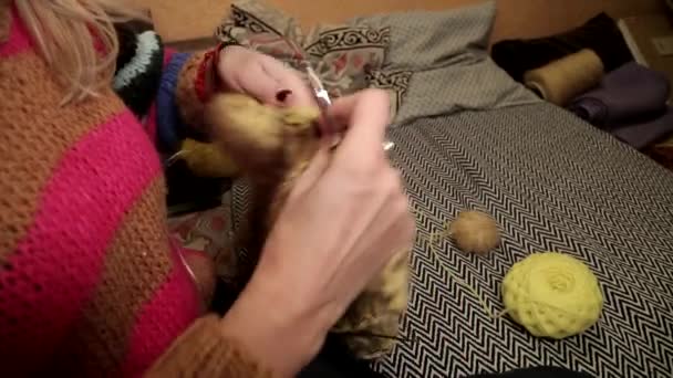 女人的手拿着针头 一个女人很快地织毛衣 放松的爱好 针织工艺 针织线 — 图库视频影像