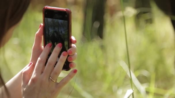 Les chevaux du ranch mangent de la paille. Ferme de chevaux de course.