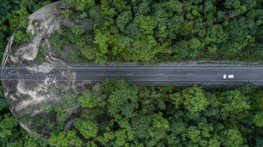 Ormandan geçen elektrikli araç, çevre için EV elektrik enerjisi, sürdürülebilir enerji tahsis hedefleri yeşil enerji, ekosistem sağlıklı çevre yolculuğu