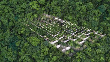 Klavye tuşlu orman, Dünya Günü kavramına dünyayı kurtarmak için yeşil ortamı aramak, bilgisayar dizüstü bilgisayarlı klavye ile Dünya günü.