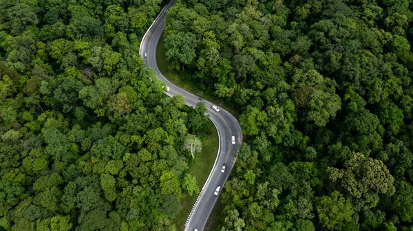 Aerial View Green Forest Car Asphalt Road Car Drive Road — Stock Photo, Image