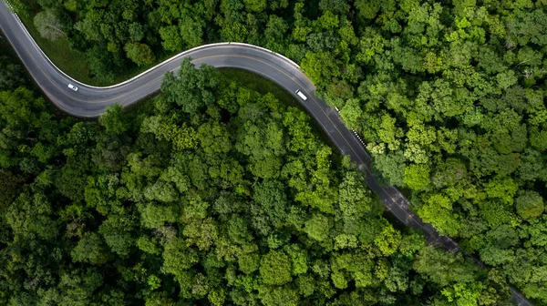 Aerial View Green Forest Car Asphalt Road Car Drive Road — Stock Photo, Image
