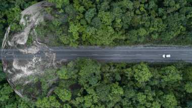 Ormandan geçen elektrikli araç, çevre için EV elektrik enerjisi, sürdürülebilir enerji tahsis hedefleri yeşil enerji, ekosistem sağlıklı çevre yolculuğu