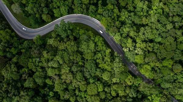 Elektromos Jármű Autó Megy Keresztül Erdő Elektromos Energia Környezetért Természet — Stock Fotó